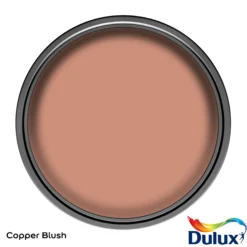 Dulux Easycare Kitchen Copper Blush Matt Wall Paint, 2.5L 10 Dulux Easycare Kitchen Copper Blush Matt Wall Paint, 2.5L -Dulux dulux easycare kitchen copper blush matt wall paint 2 5l5010212668429 12c bq