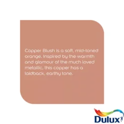 Dulux Easycare Kitchen Copper Blush Matt Wall Paint, 2.5L 12 Dulux Easycare Kitchen Copper Blush Matt Wall Paint, 2.5L -Dulux dulux easycare kitchen copper blush matt wall paint 2 5l5010212668429 36c bq