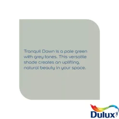 Dulux Easycare Kitchen Tranquil Dawn Matt Wall Paint, 2.5L 10 Dulux Easycare Kitchen Tranquil Dawn Matt Wall Paint, 2.5L -Dulux dulux easycare kitchen tranquil dawn matt wall paint 2 5l5010212668337 36c bq