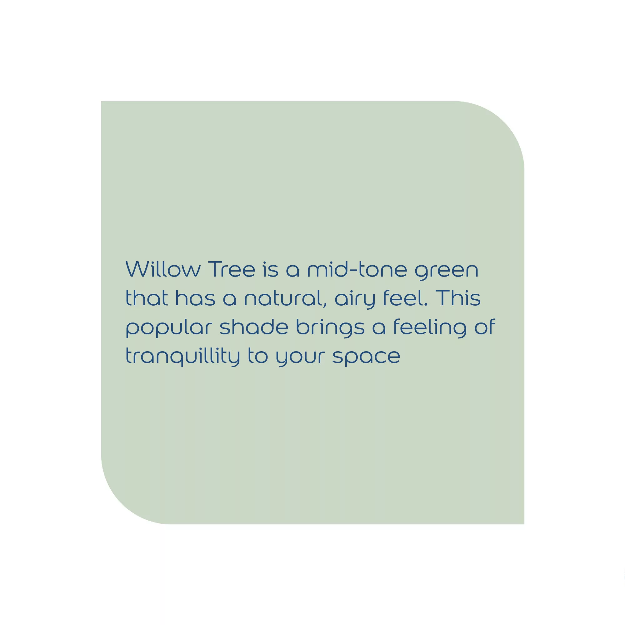 Dulux Easycare Willow Tree Matt Emulsion Paint, 2.5L 7 Dulux Easycare Willow Tree Matt Emulsion Paint, 2.5L - Image 7