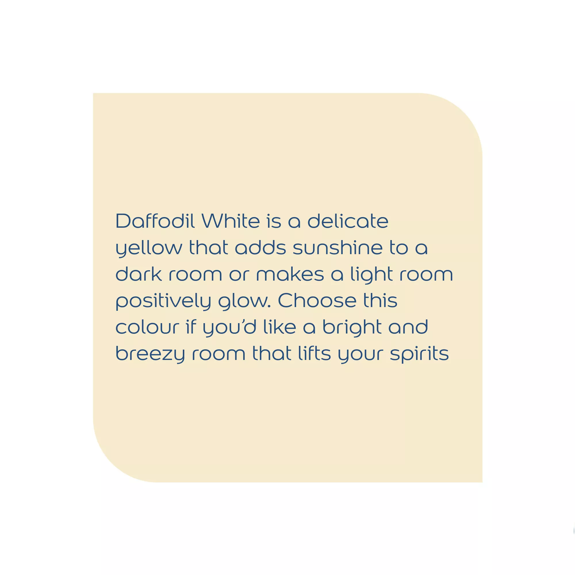 Dulux Natural Hints Daffodil White Matt Emulsion Paint, 2.5L 6 Dulux Natural Hints Daffodil White Matt Emulsion Paint, 2.5L - Image 6