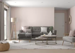 Dulux One Coat Blush Pink Matt Emulsion Paint, 2.5L -Dulux dulux one coat blush pink matt emulsion paint 2 5l5010212656235 03i