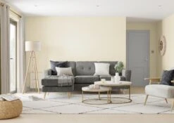 Dulux One Coat Daffodil White Matt Emulsion Paint, 2.5L -Dulux dulux one coat daffodil white matt emulsion paint 2 5l5010212656419 01i