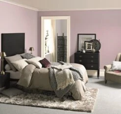 Dulux One Coat Dusted Fondant Matt Emulsion Paint, 2.5L -Dulux dulux one coat dusted fondant matt emulsion paint 2 5l5010212656433 01i