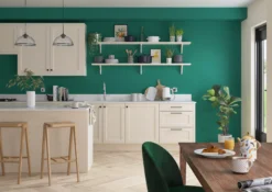 Dulux One Coat Emerald Glade Matt Emulsion Paint, 1.25L 13 Dulux One Coat Emerald Glade Matt Emulsion Paint, 1.25L -Dulux dulux one coat emerald glade matt emulsion paint 1 25l5010212659779 03i