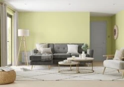 Dulux One Coat Melon Sorbet Matt Emulsion Paint, 1.25L 11 Dulux One Coat Melon Sorbet Matt Emulsion Paint, 1.25L -Dulux dulux one coat melon sorbet matt emulsion paint 1 25l5010212659762 01i