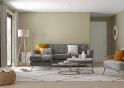 Dulux One Coat Overtly Olive Matt Emulsion Paint, 2.5L -Dulux dulux one coat overtly olive matt emulsion paint 2 5l5010212656389 03i