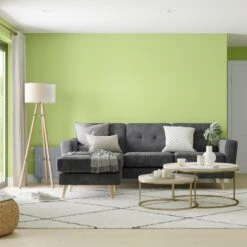 Dulux Walls & Ceilings Kiwi Crush Silk Emulsion Paint, 2.5L -Dulux dulux walls ceilings kiwi crush silk emulsion paint 2 5l5010212640074 02i bq