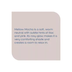 Dulux Walls & Ceilings Mellow Mocha Matt Emulsion Paint, 5L -Dulux dulux walls ceilings mellow mocha matt emulsion paint 5l5010212508886 36c bq