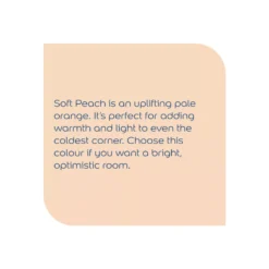 Dulux Walls & Ceilings Soft Peach Matt Emulsion Paint, 2.5L -Dulux dulux walls ceilings soft peach matt emulsion paint 2 5l5010212105405 36c bq