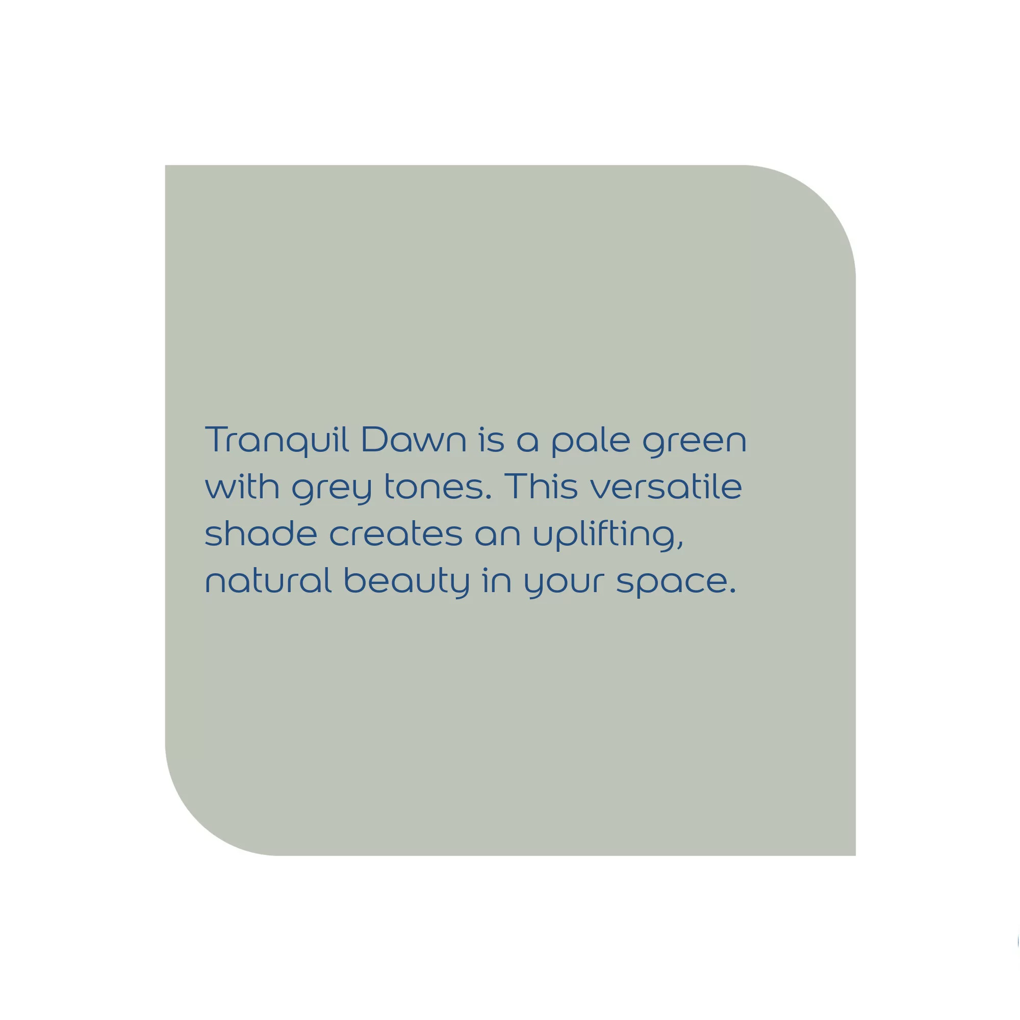 Dulux Walls & Ceilings Tranquil Dawn Matt Emulsion Paint, 2.5L 8 Dulux Walls & Ceilings Tranquil Dawn Matt Emulsion Paint, 2.5L - Image 8